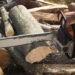 Как выбрать бензопилу, рейтинг бензиновых пил STIHL