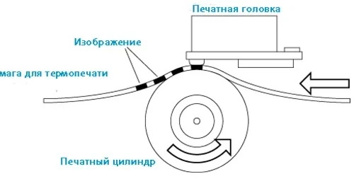 Особенности и принципы работы термопринтера этикеток