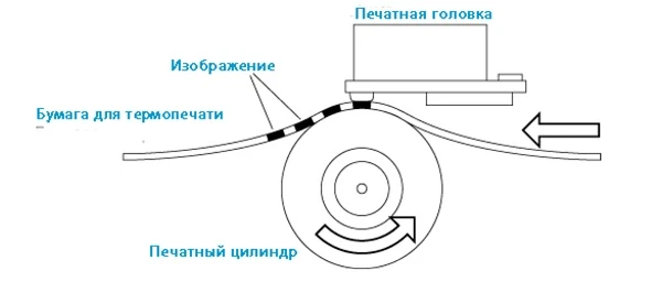 Особенности и принципы работы термопринтера этикеток