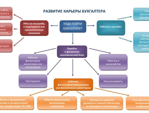 Карьера бухгалтера после колледжа: первые шаги
