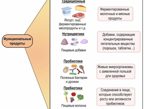 Роль ферментированных функциональных продуктов в рационе скота