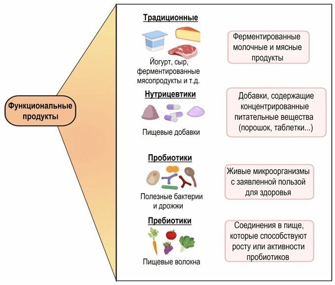 Роль ферментированных функциональных продуктов в рационе скота