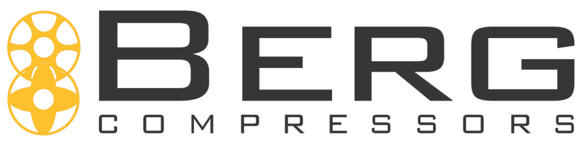 Официальный дилер Berg в России: надежность и качество