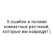 5 ошибок в поливе комнатных растений, которые им навредят |