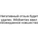 Негативный отзыв будет удален. Wildberries ввел неожиданное новшество
