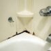 Как избавиться от плесени в ванной, какие эффективные средства помогут уничтожить плесень |